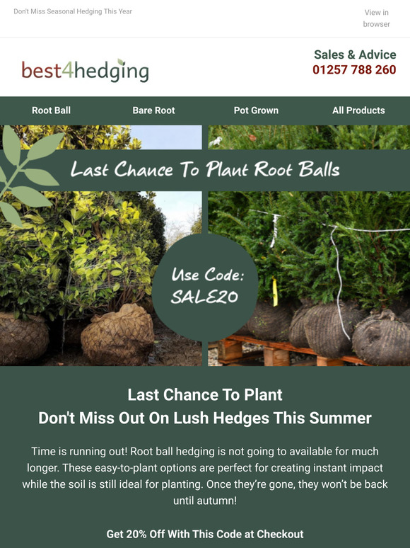 🚨 Last Chance To Grab Root Ball Deals - SAVE 20%