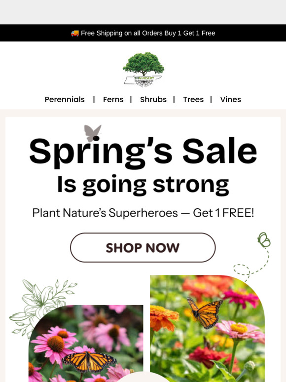 Nature’s Superheroes Are Waiting — Buy 1, Get 1 FREE 🌱