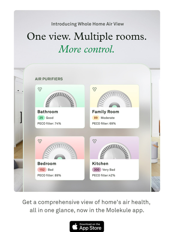 Your Home's Air Health in a Glance 👀