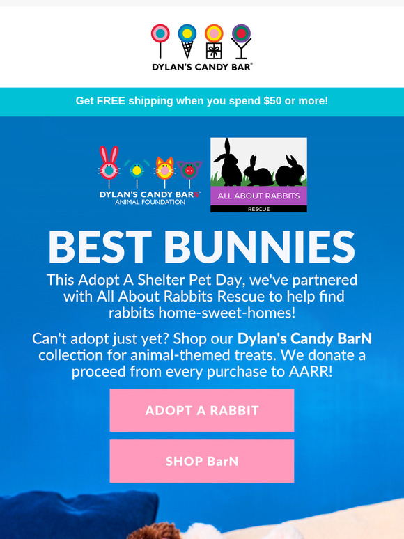 It's Adopt A Shelter Pet Day 🐰