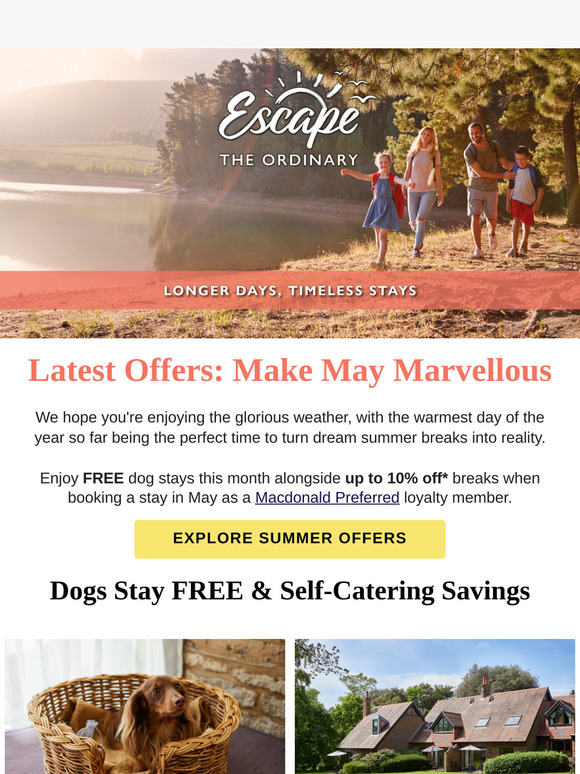 Hi There, Your Marvellous May Deals Have Arrived! 🔅🌻