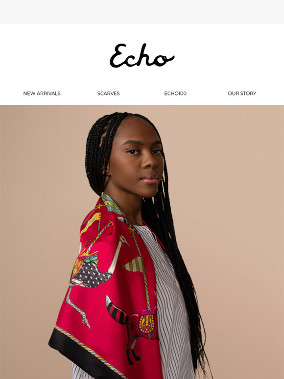 An Echo Icon