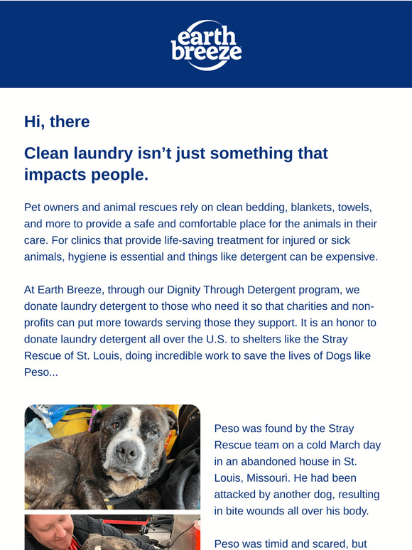 A Second Chance At Life For Peso! 🐶