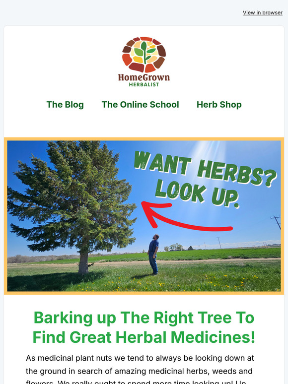 Barking up the RIGHT Tree to find GREAT Herbal Medicines - New Video From Doc Jones!
