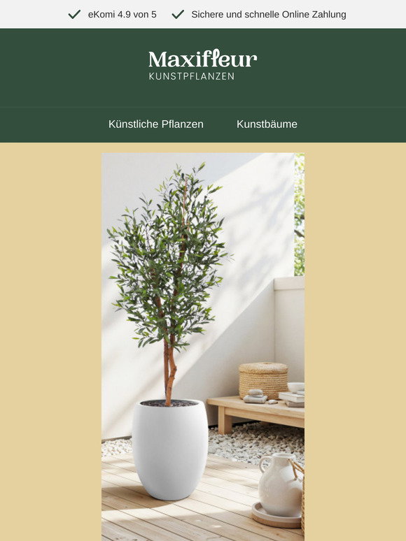 monstera jungle Monstera Jungle Mint