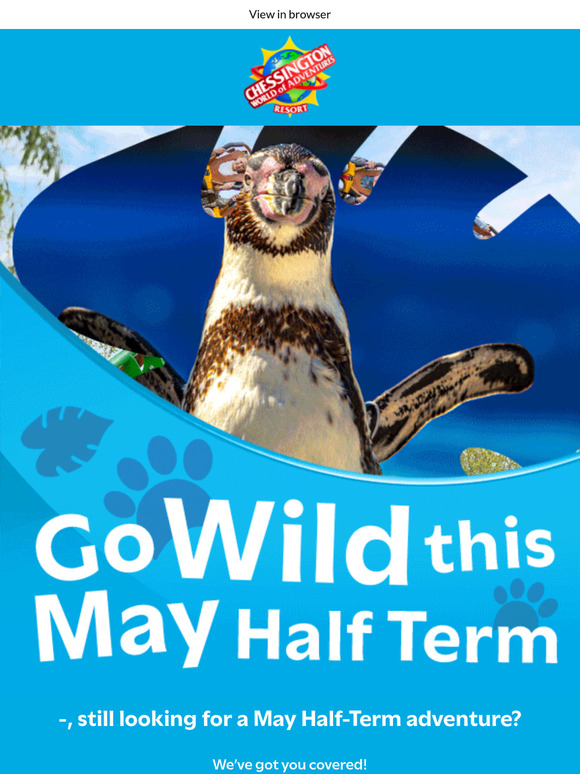May Half-Term inspiration inside!⭐