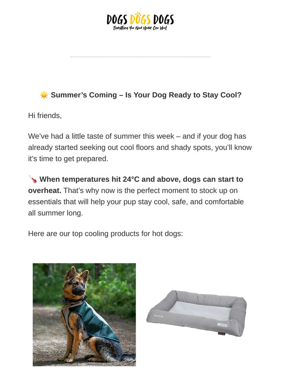 We’ve Had a Taste of Summer… Time to Get Heatwave Ready 🐶❄️