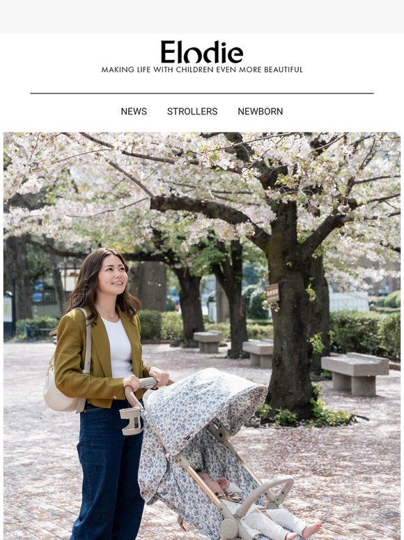 Blooming time in Tokyo 🌸