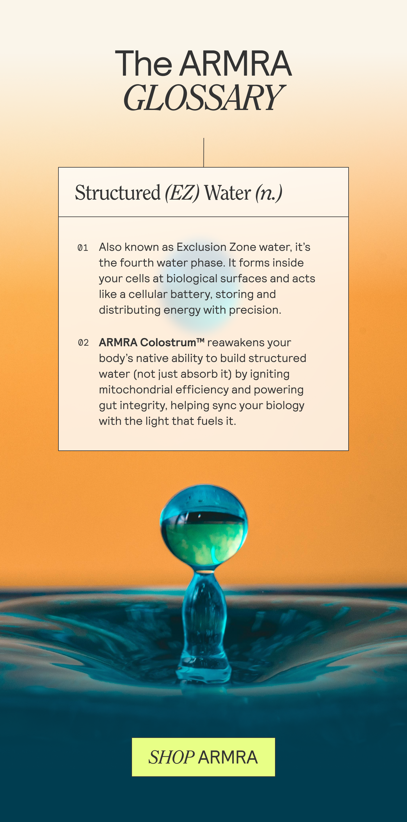 THE ARMRA GLOSSARY
