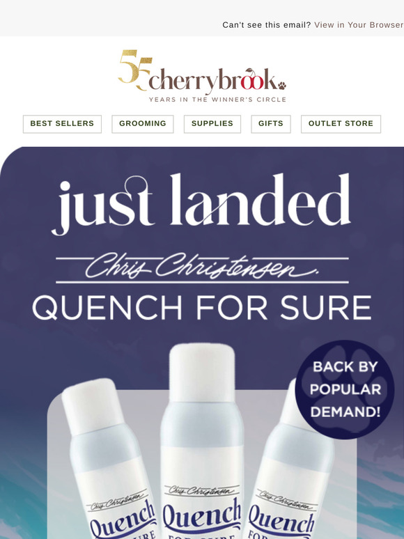 Chris Christensen Quench For Sure Is Back 🌊