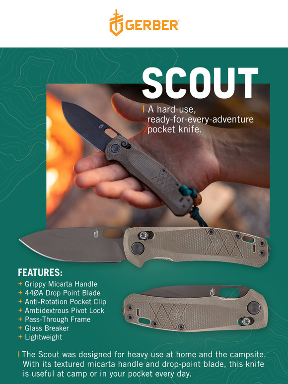 The Scout Is Ready For An Adventure
