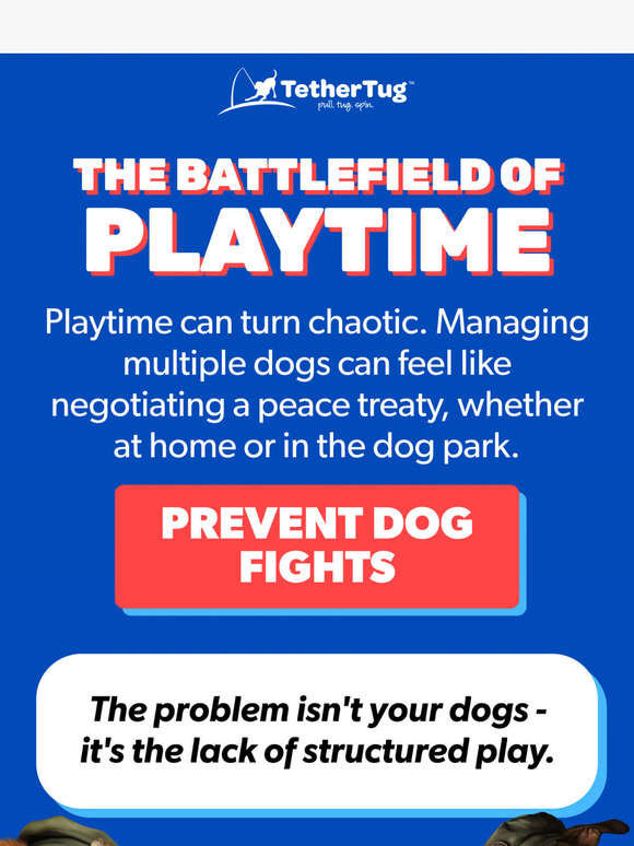 Stop the Dog Park Drama