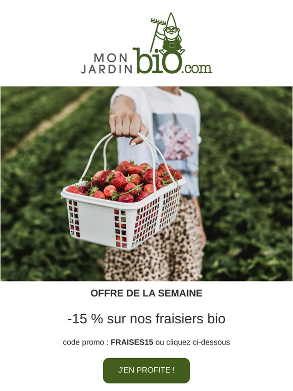 Les "French Fraises" -15 % sur nos fraisiers 🍓