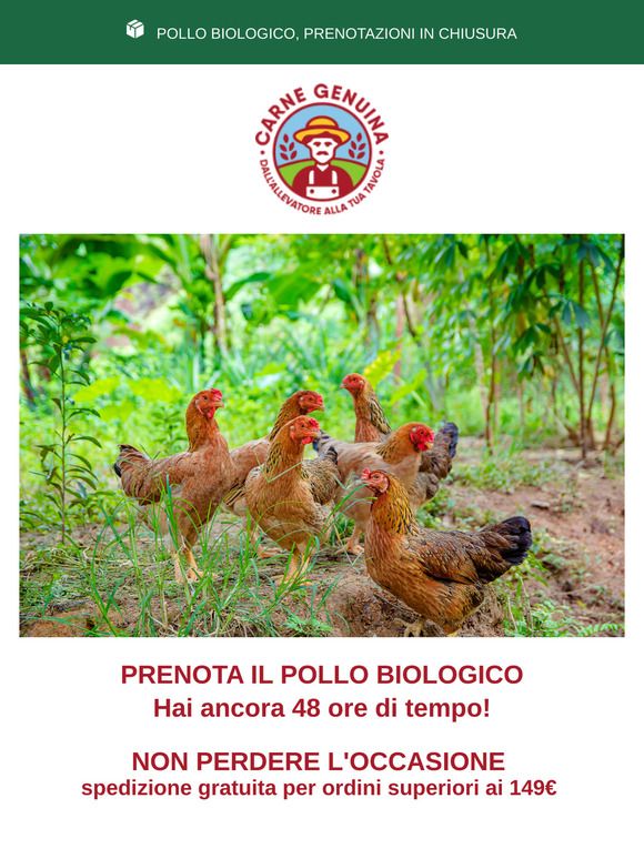 📖🍗 Ricetta del mese: cous cous di pollo