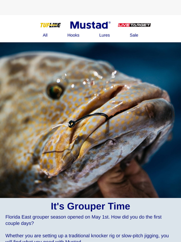 Grouper are ready to be caught!