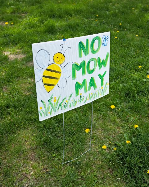 No Mow May sign