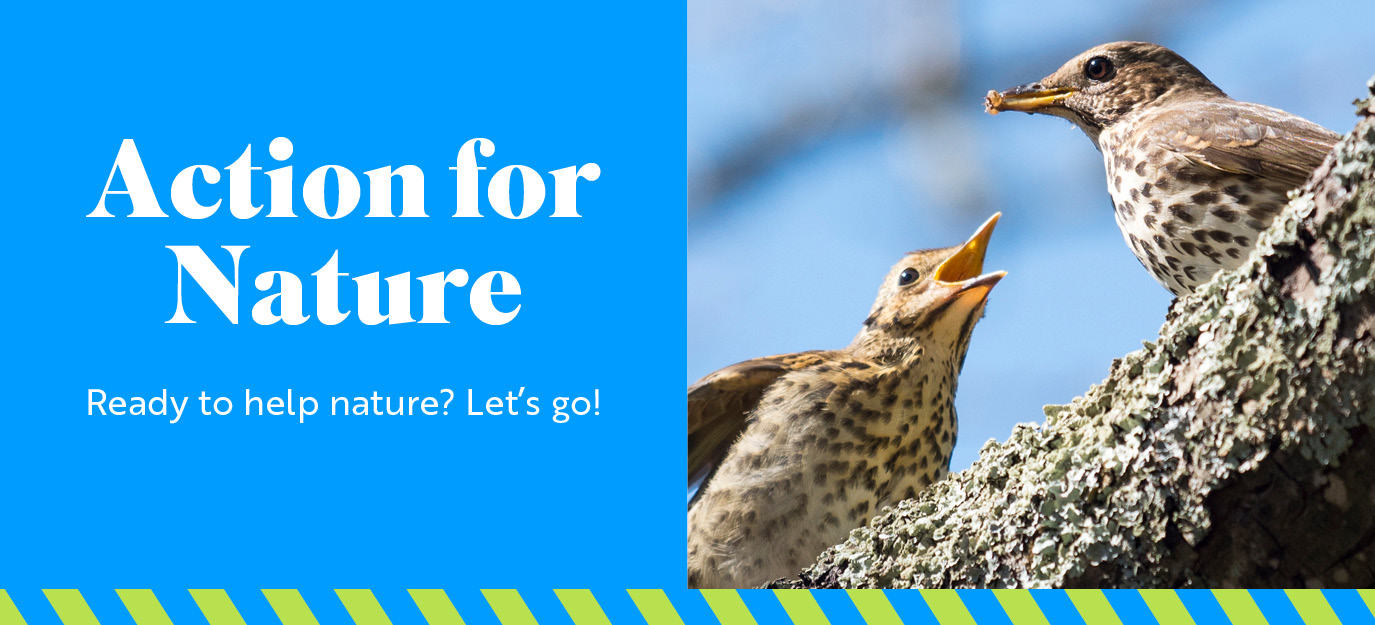 RSPB Action For Nature email