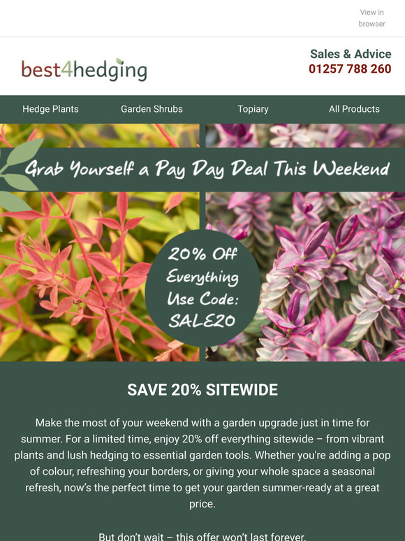 Pay Day Savings Just In Time For Summer ☀️🌿