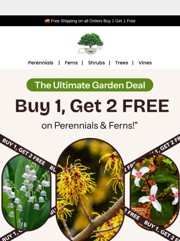 The Smartest Plants? Perennials & Ferns You Only Buy Once.