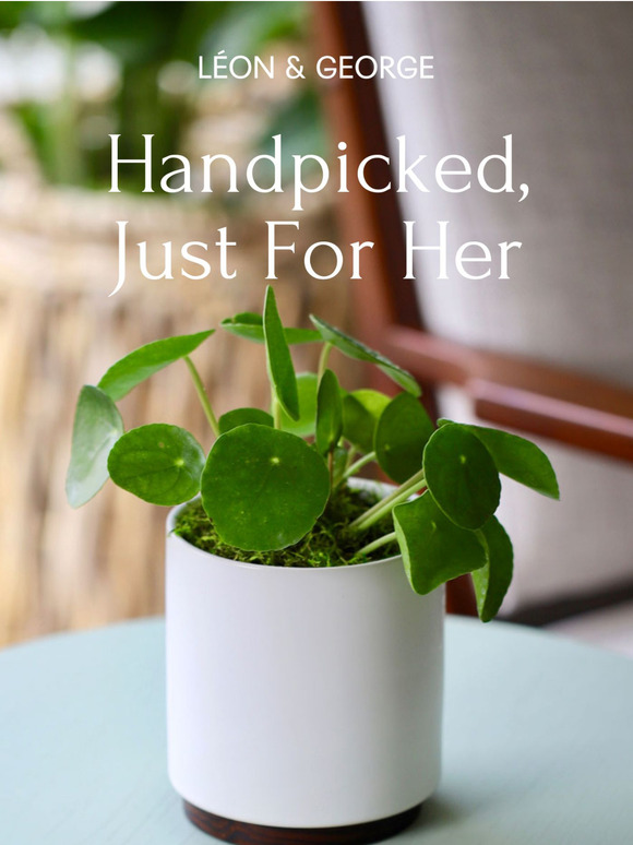 A Thoughtful + Beautiful Gift for Mom