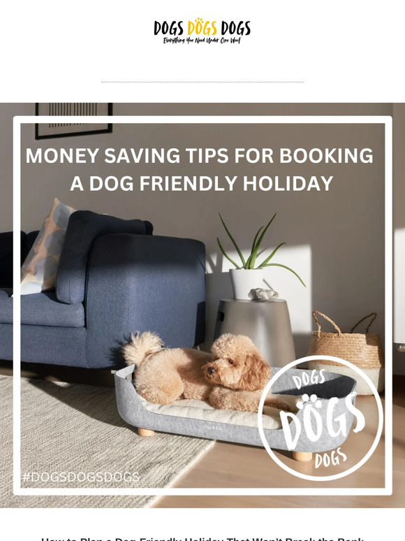 🐾 Save on Your Dog-Friendly Getaway – Without Skimping on Fun!