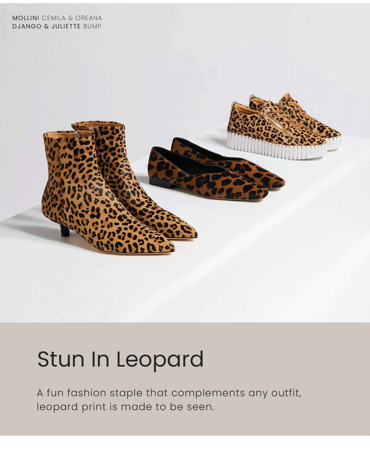 STUN IN LEOPARD