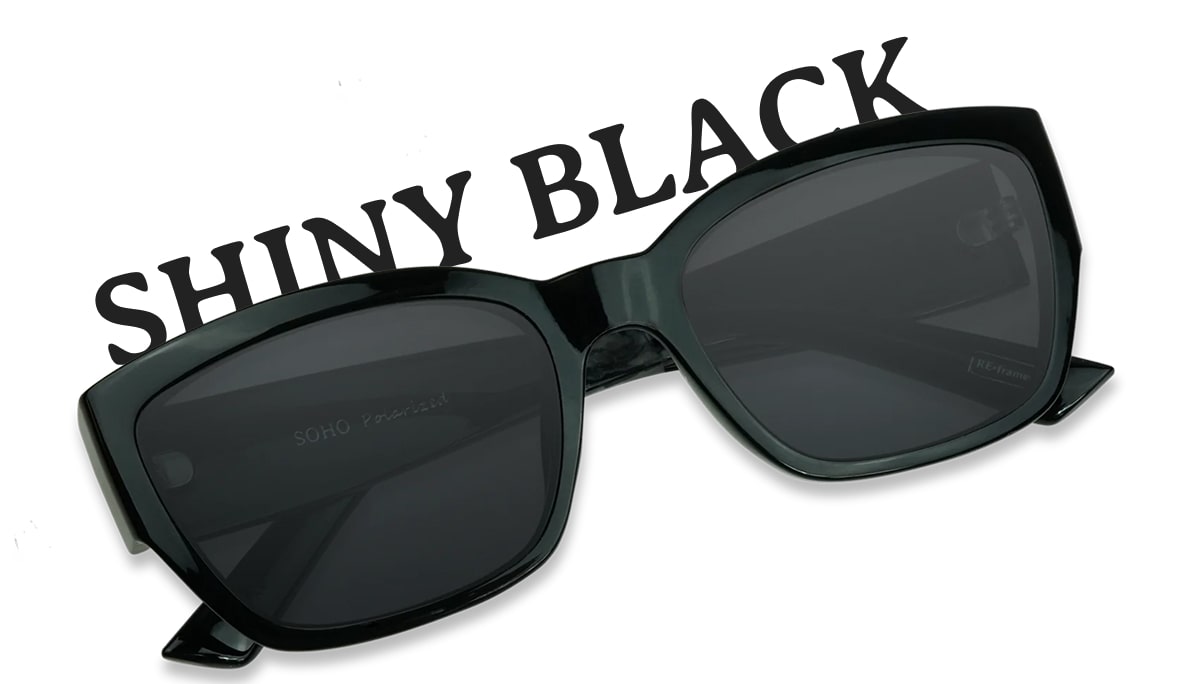 Nectar - SoHo Polarized Sunglasses - Shiny Black Frame / Black Lens SoHo Sunglasses (Brown) | Affordable Polarized Sunglasses  main image 2