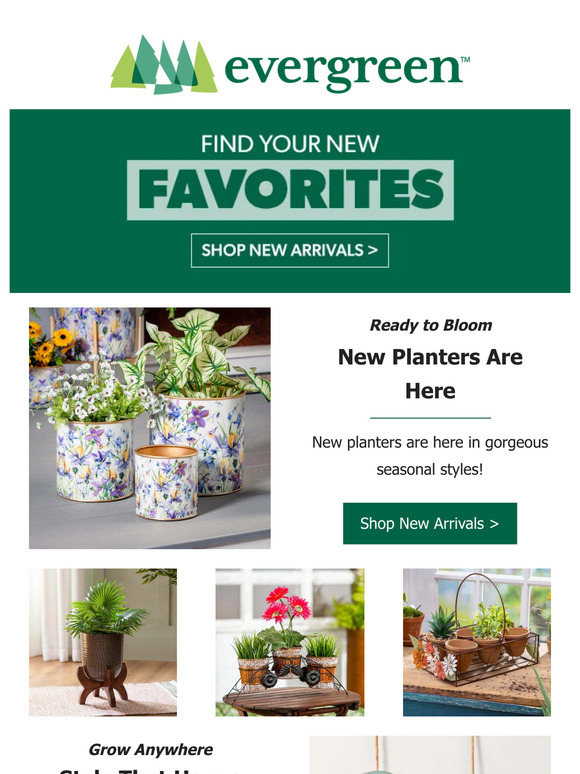New Arrivals: Planters & More to Refresh Your Space