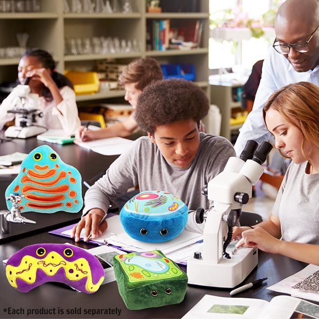 Animal Cell, Mitochondria in science class