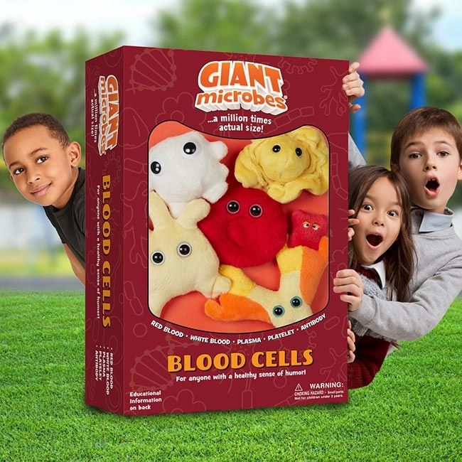 Blood Cells box with kids