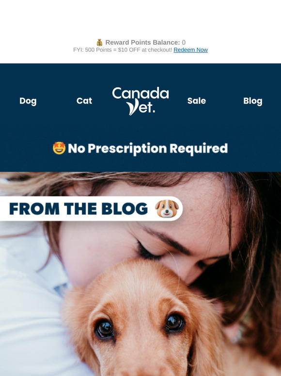 Cancer In Pets: What to Keep an Eye On 🐶🐱