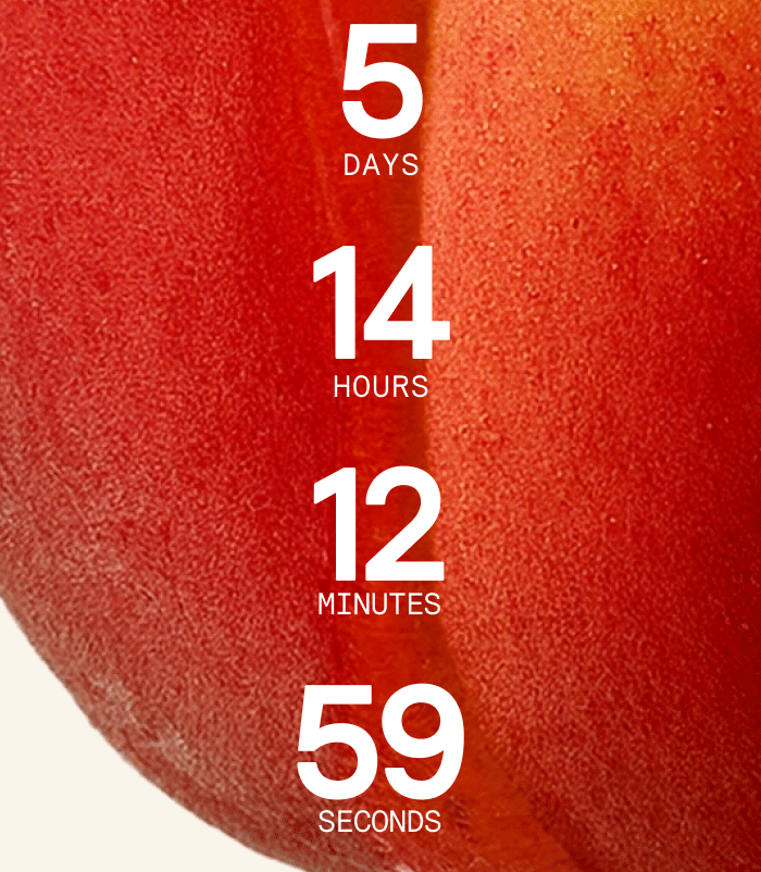 Countdown
