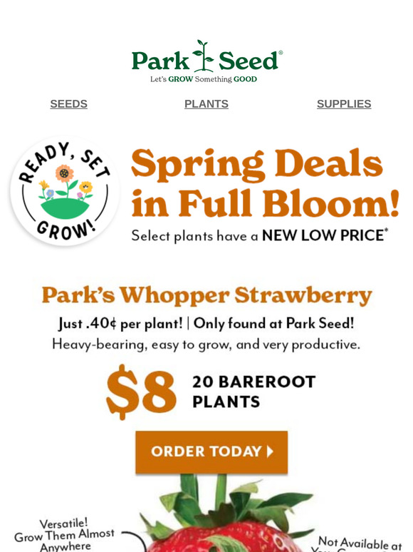 Just $8 for 20 Bareroot Plants! 😲