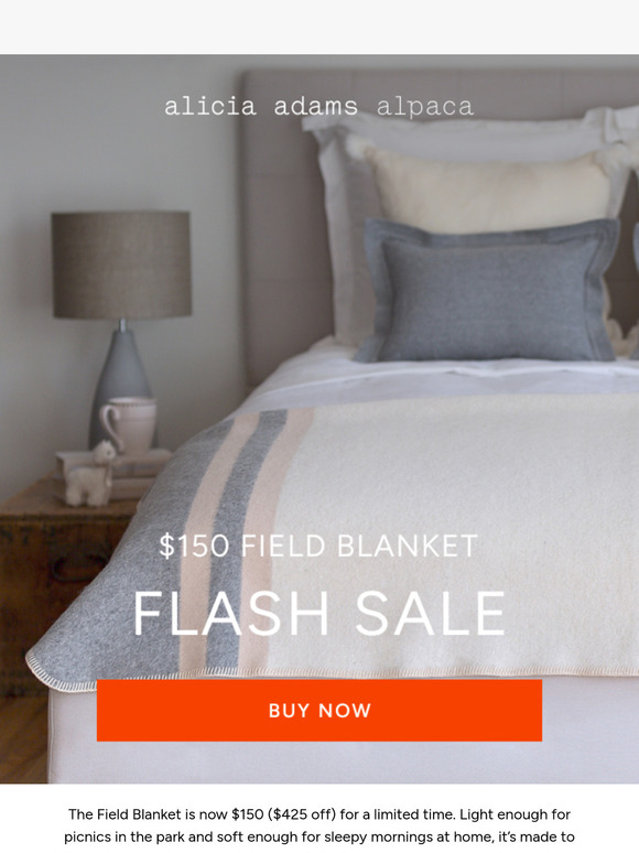 ✨ Save $425 on Field Blanket