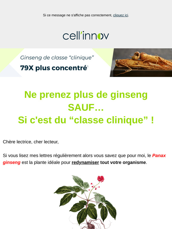 La plante idéale pour redynamiser tout votre organisme