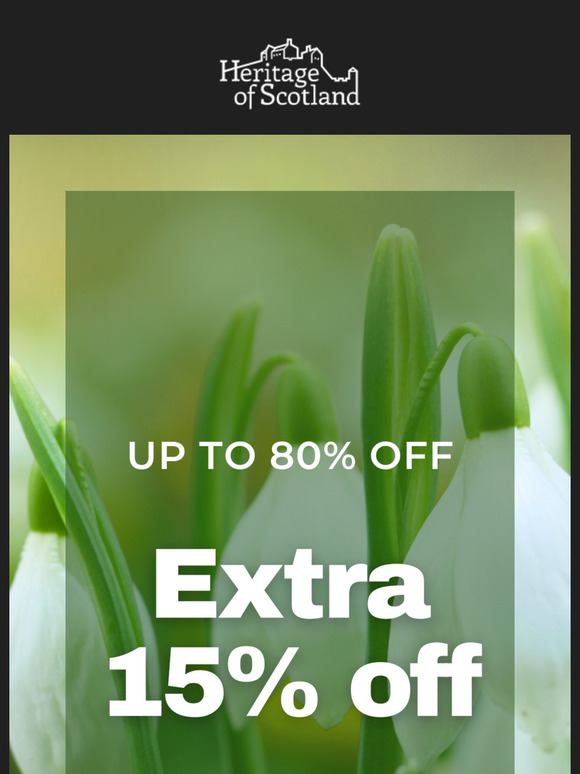 Fresh Spring Deals 🌼 Save Up To 80%