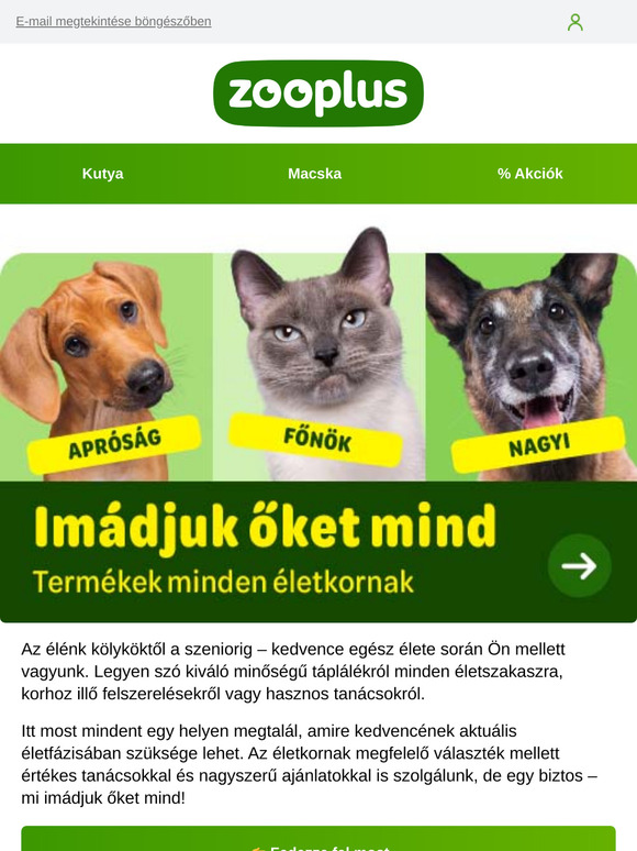 Tökéletes gondoskodás a kölyköktől az idősebb kedvencekig.