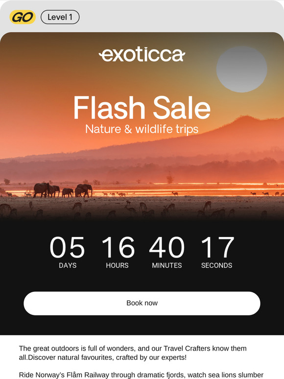 Flash Sale: 60% off nature & wildlife trips 🐾