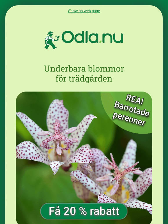 Få 20 % rabatt på barrotade perenner 🪻🏵️