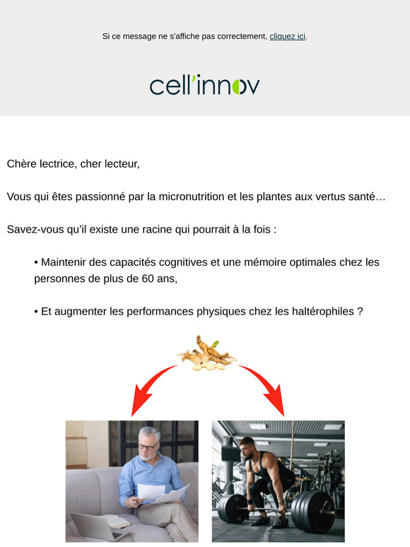 QUIZ : quelle racine millénaire peut redynamiser votre corps et votre esprit ?