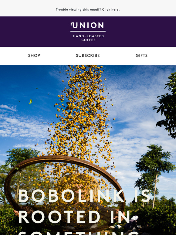 Bobolink: Deliciously smooth and grown with purpose.