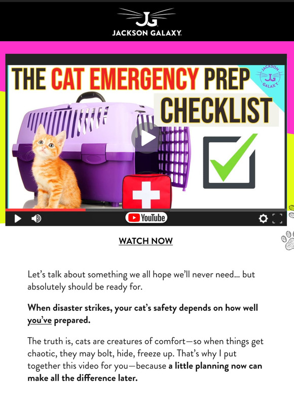 How To Prepare Your Cat for an Emergency