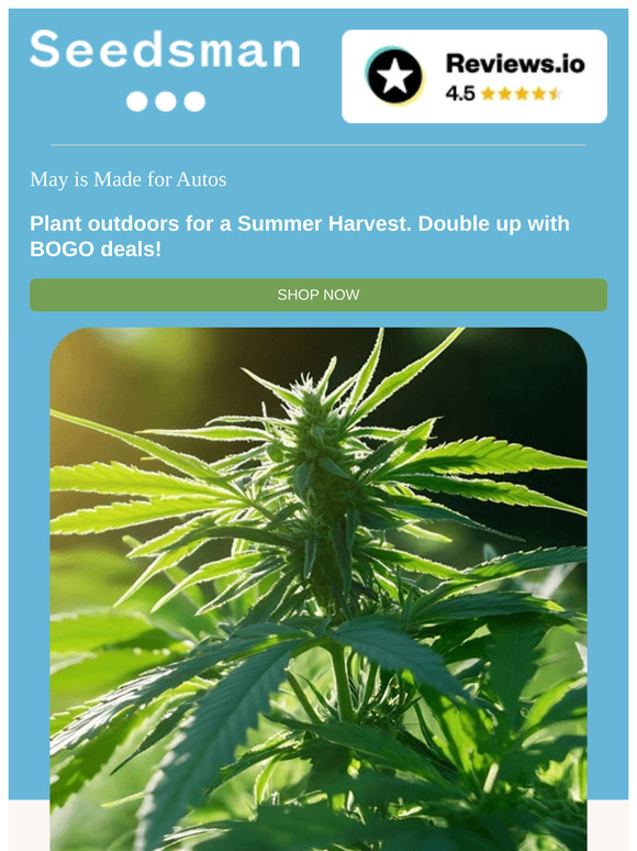🌱MAY IS MADE FOR AUTOS🌱