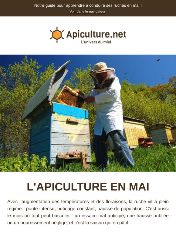 🌸 Conduite du rucher en mai : nos conseils clés