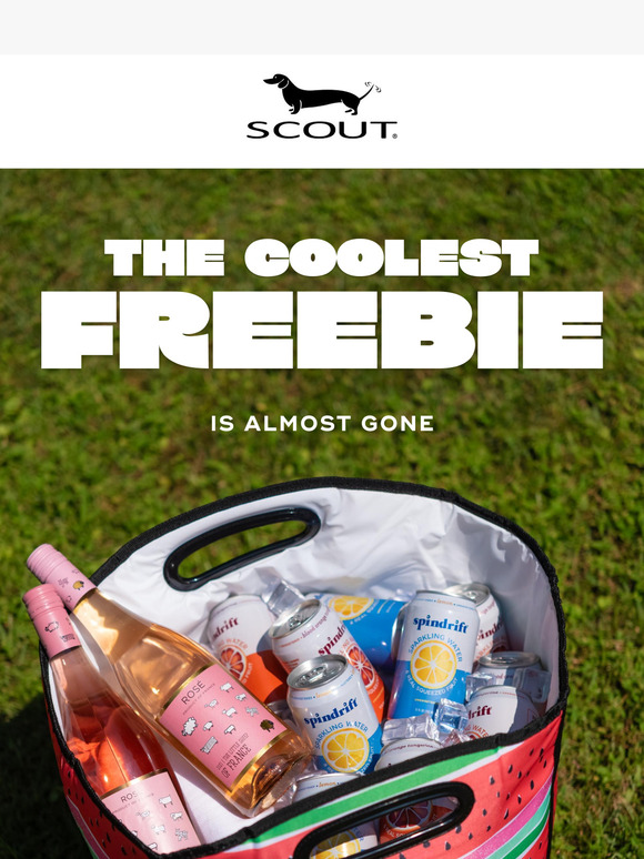 48 HOURS LEFT: Free Cooler ❄