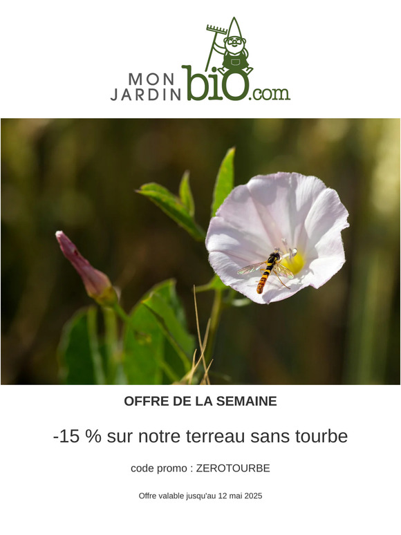 Habemus potagus ! Comment identifier les "mauvaises herbes" ?
