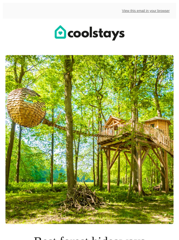 Forest hideaways 🌲