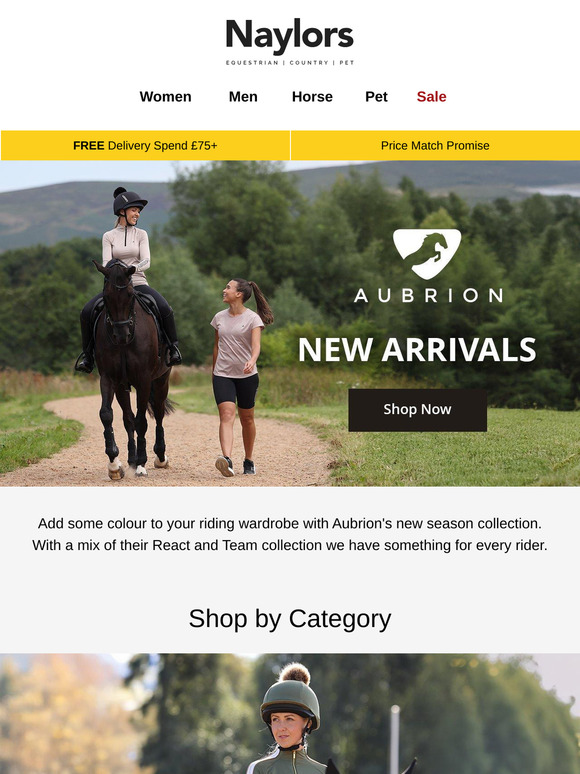 New Aubrion | React and Team Collection