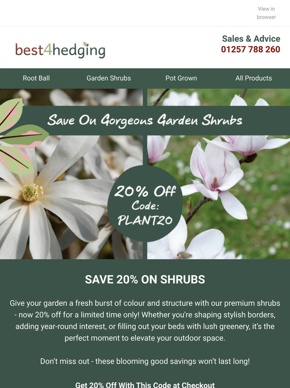 Ready, Set, Garden! 20% Off Garden Shrubs 💰🪴✨