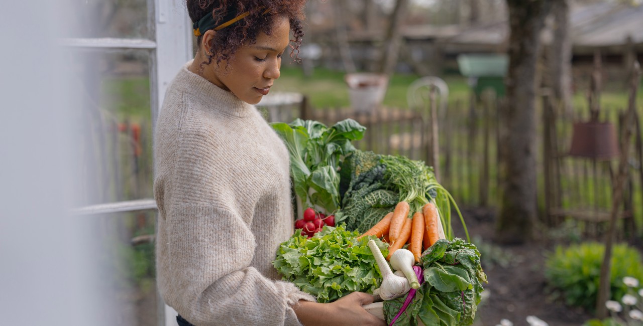 Mai mois des légumes Mai mois des légumes